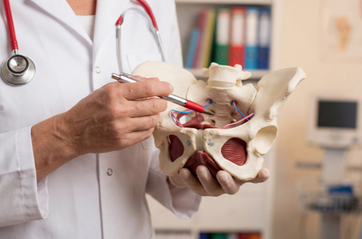 pelvic floor rehab